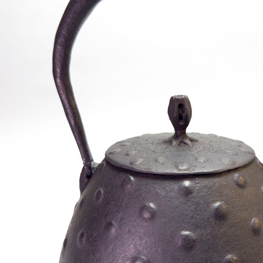 Cast Iron Kettle: (Cast Iron Kettle)