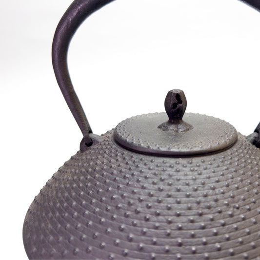 Cast Iron Kettle: Kazutama Arare