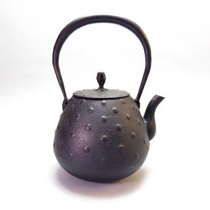 Cast Iron Kettle: Autumn Nut Arare