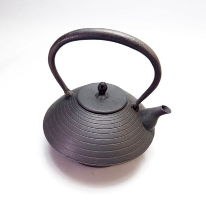 Cast Iron Kettle: Higashi Azumaya