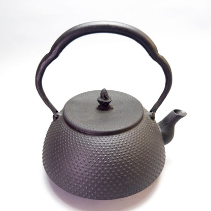 Cast Iron Kettle: Odaré Kazutama Arare