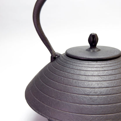 Cast Iron Kettle: Higashi Azumaya