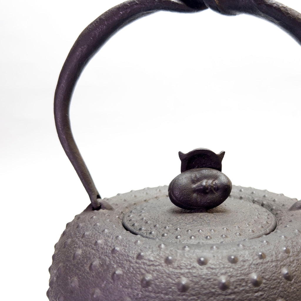 Cast Iron Kettle: Onimen Ō-Arare