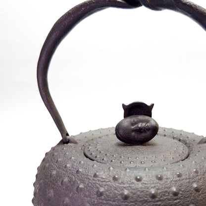 Cast Iron Kettle: Onimen Ō-Arare